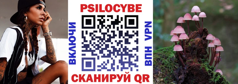 Галлюциногенные грибы Psilocybe  Александров 